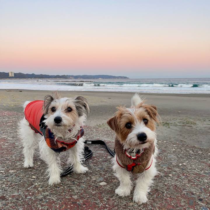 E56ad5d3 7f54 4a89 9763 e403b4815630 1770116240272