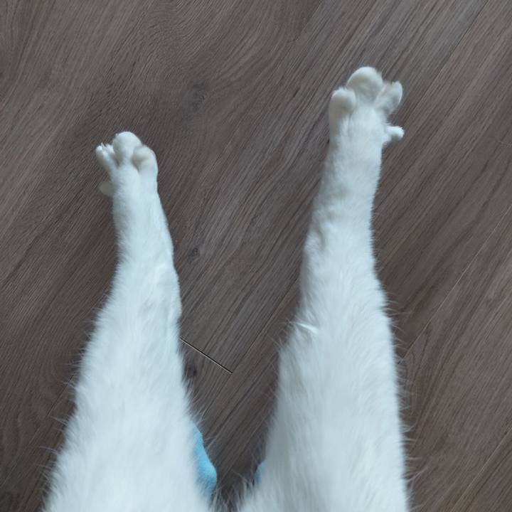 E56ae58f 980d 4631 bfe8 2d8db1fb4c25 1773546110092