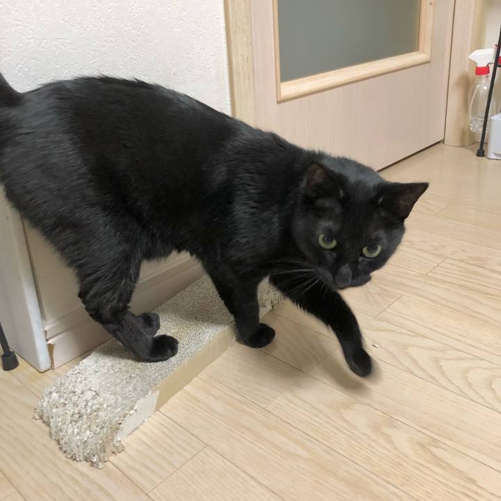 E56b0584 c4bf 4dcc a9ed 6cfcc5f76b5c 1618320819720