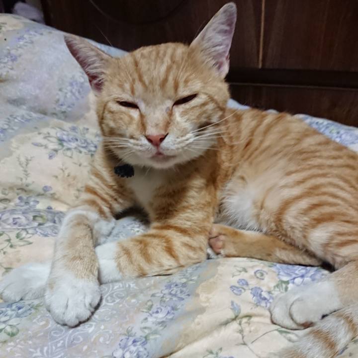 E56b09b8 79d8 46de 8dbd b6f8161949e3 1562762001341