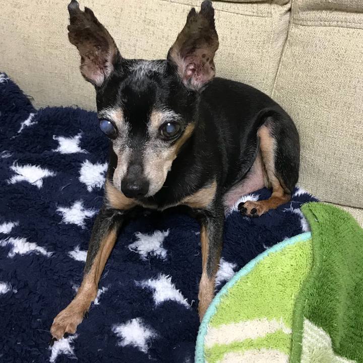 E56b12dd efee 44f3 b87c 3957184dbd39 1567461785204