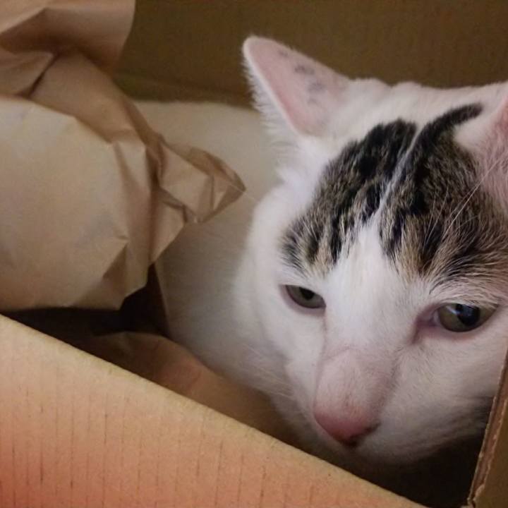 E56b442a 8ba8 4fa5 ae46 3de5874ce450 1546050833311