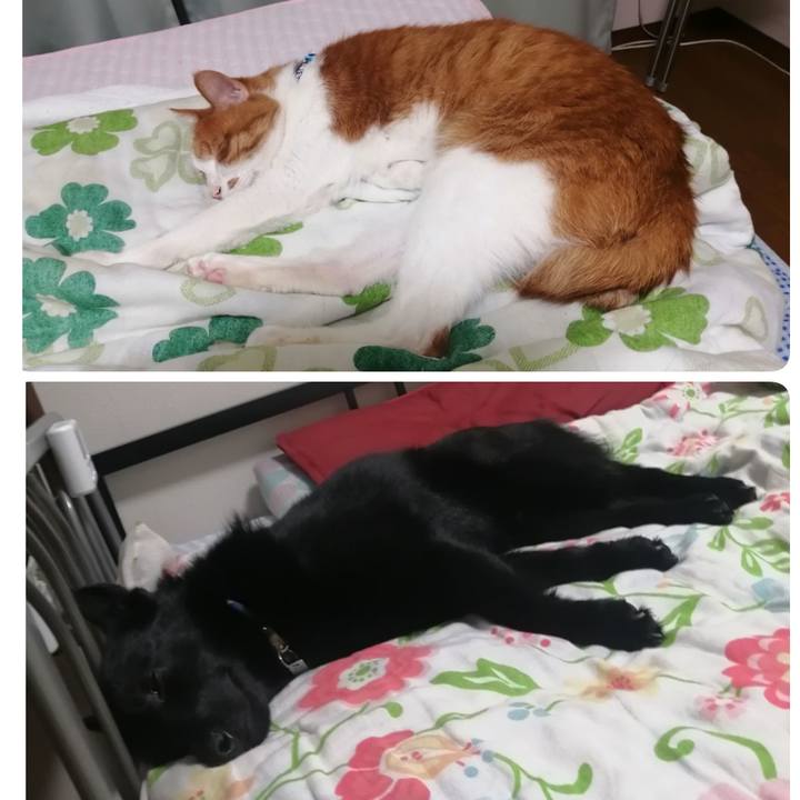 E56b4598 f4df 4c09 80c0 f88677328344 1622381943812