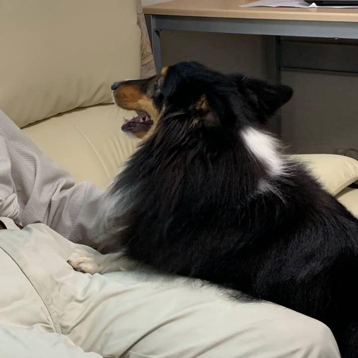 E56b573d 93ae 4094 b217 a30ea7732ebe 1563832087691