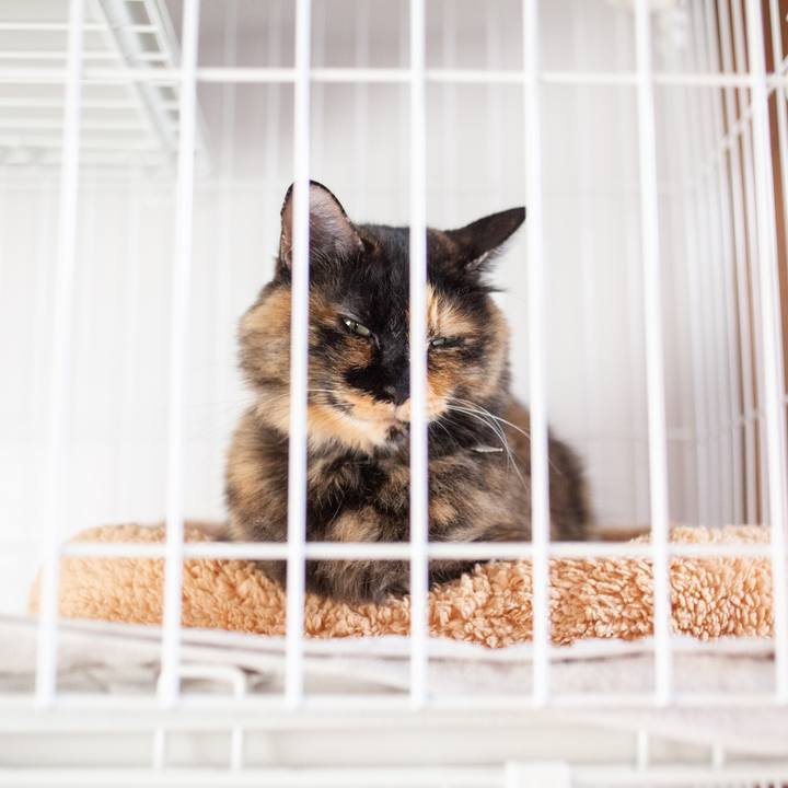 E56b693d ba59 499a 8308 cd4a29fc7f83 1573880536622