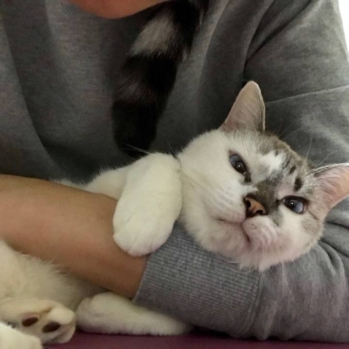 E56c023b a6ab 4397 872b 09b8b4431a43 1539776052383