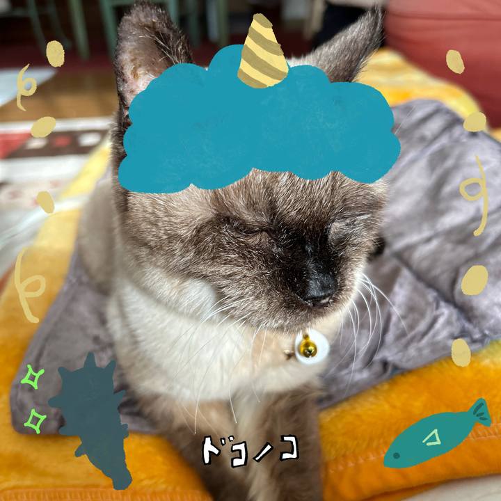 E56c0b15 b53d 44b8 9453 d191b10b88ba 1706835028915