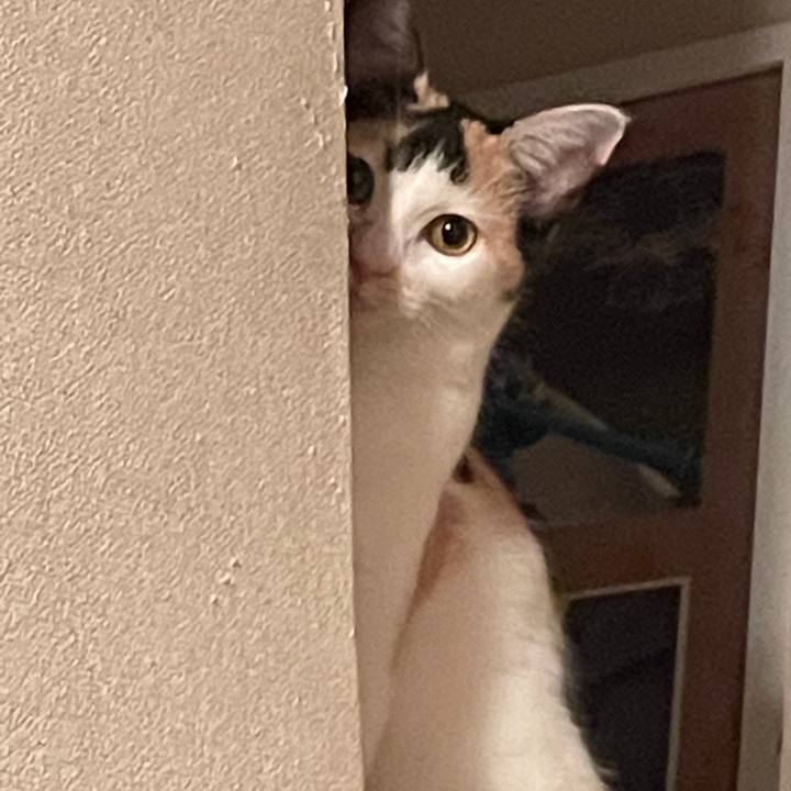 E56c219f 2e58 42af be16 6d16675351b7 1670146114378