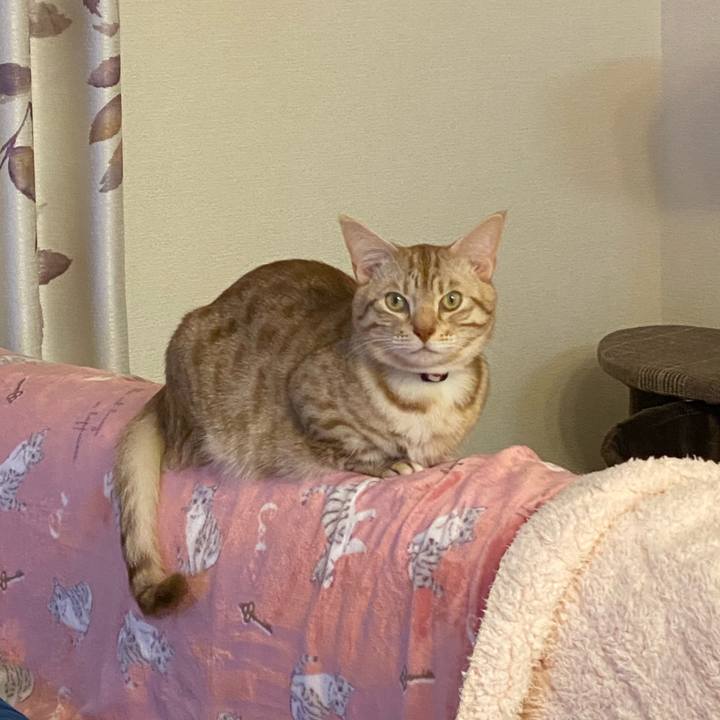 E56c23c9 0d25 47a5 886f a79fcca340ed 1641634138015