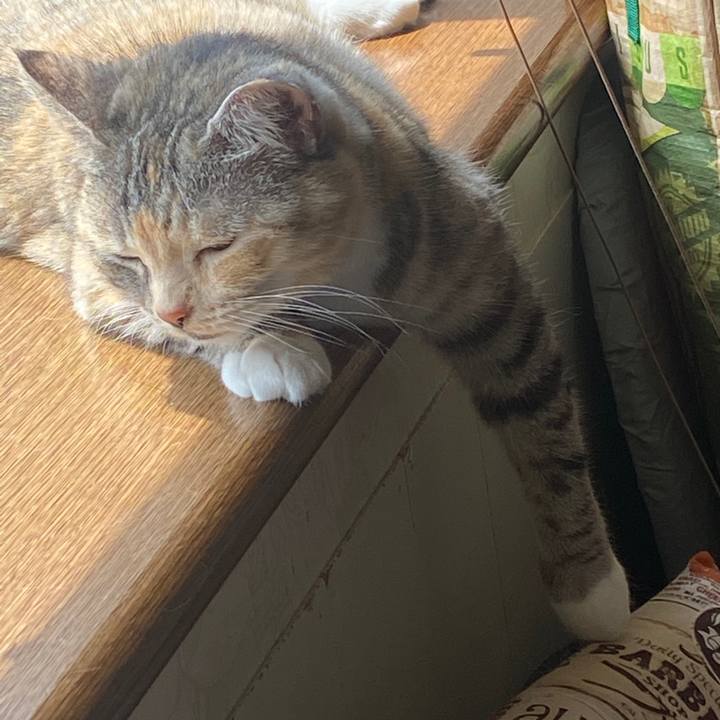 E56c888b 434e 4c14 ad72 052aafefad8f 1588646613756