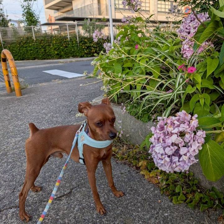 E56c9755 eb90 4668 88a8 60428117ac8f 1752932234710