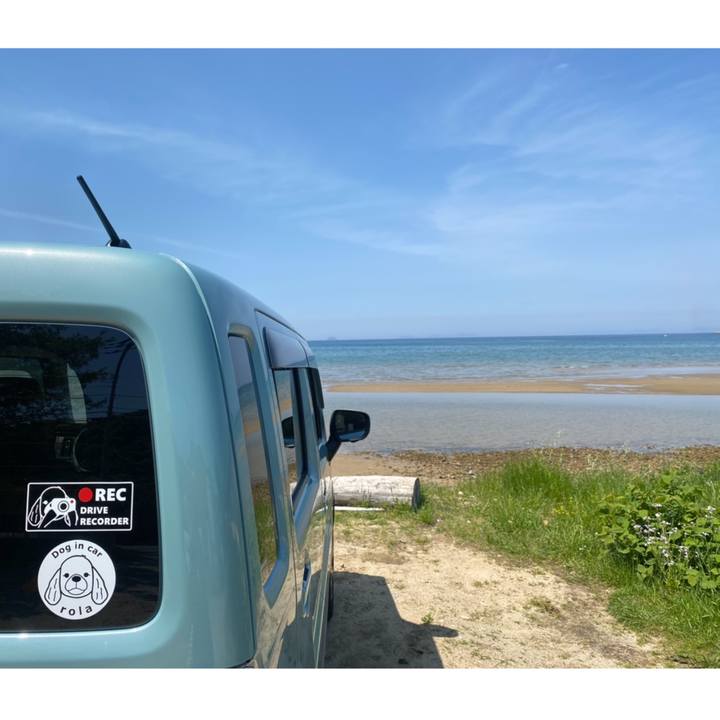 E56c9b52 eaea 435d 9af7 8994e9d92903 1683099383951