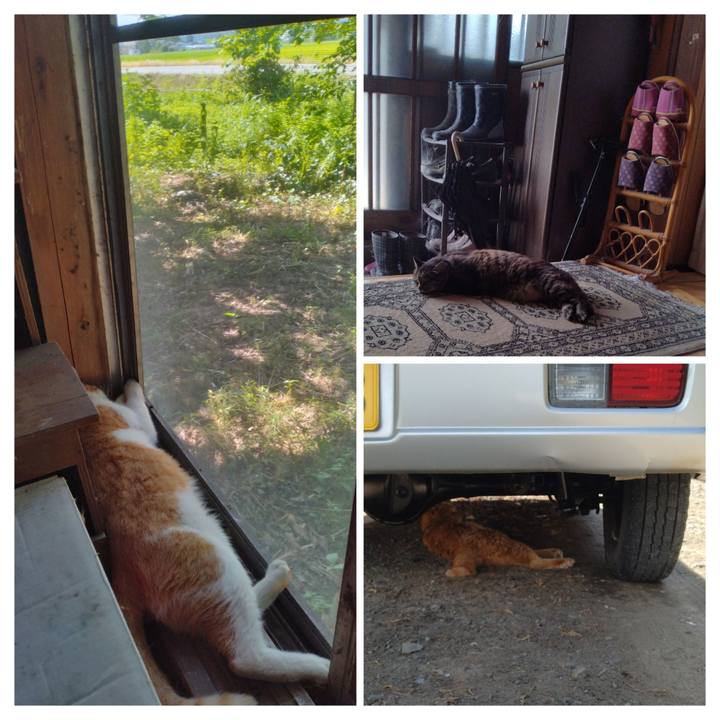 E56cb549 8370 463b 8b55 6f7927720751 1752822302979