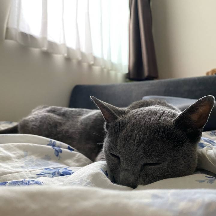 E56cc522 799b 4992 9852 5d1b818f8d5a 1624627550821