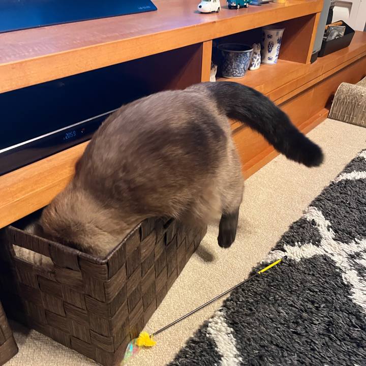 E56cfb73 a54b 4dce 89ef 2604e570e4ed 1643198669721