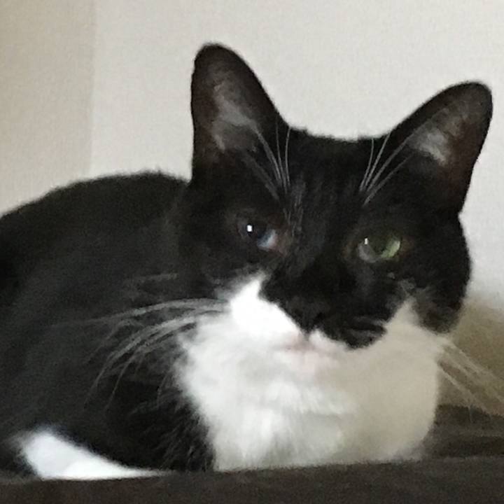 E56d2a04 62b6 45db 8262 dbfb5f0abc2d 1516191103449