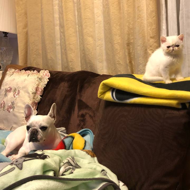 E56d3118 b83e 443d b906 ee210810a007 1544262561381