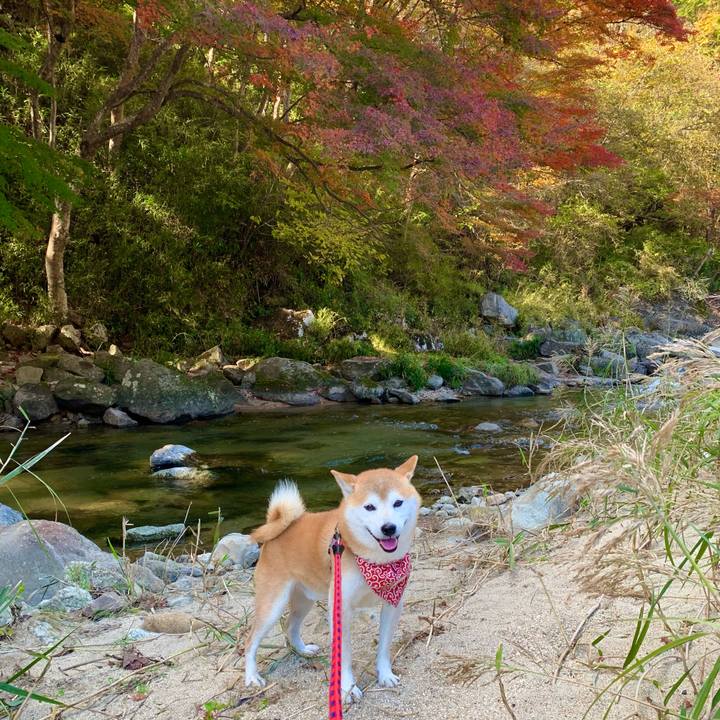 E56d8c11 1330 43fb 833f cdad325d7813 1667903928463