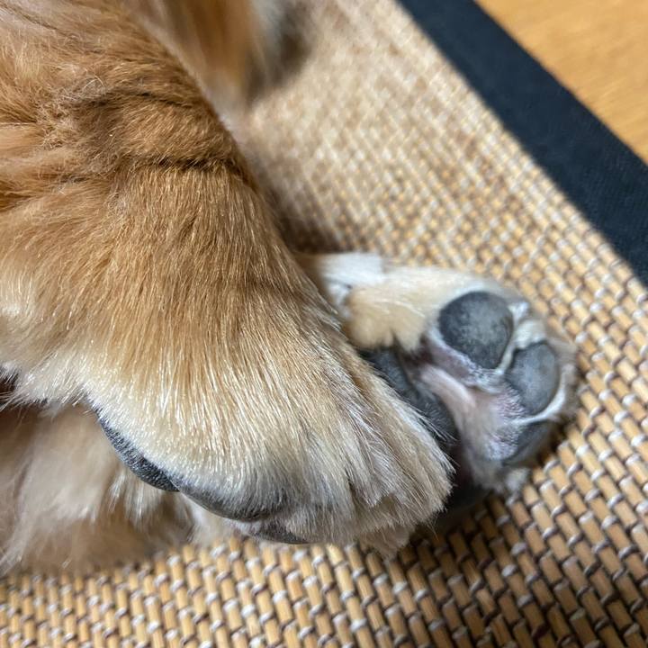 E56d8e02 5ac3 44d1 9d33 99a054b62cd3 1610401359080