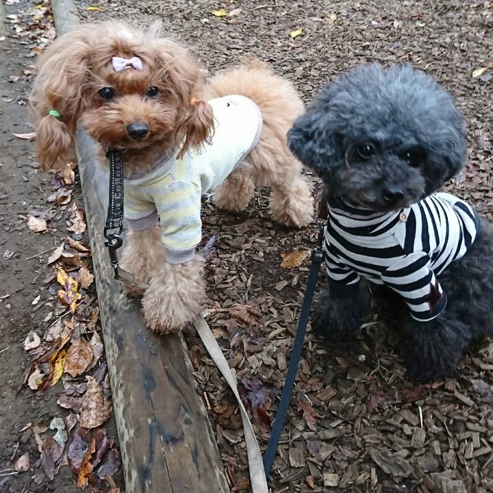 E56db29a dcb0 4f62 a27e 539437d56dcb 1572309522340