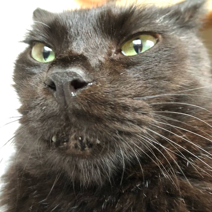 E56dd4ab 1f8d 4e34 8e75 38ccaa46fe55 1598670834183