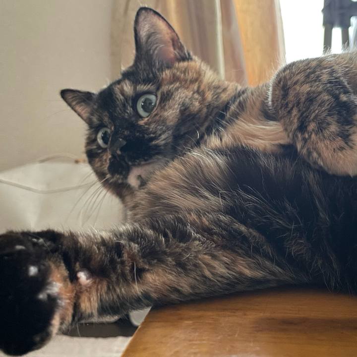 E56e1376 1012 4438 80a0 8ac63fcbd6d4 1742976141283