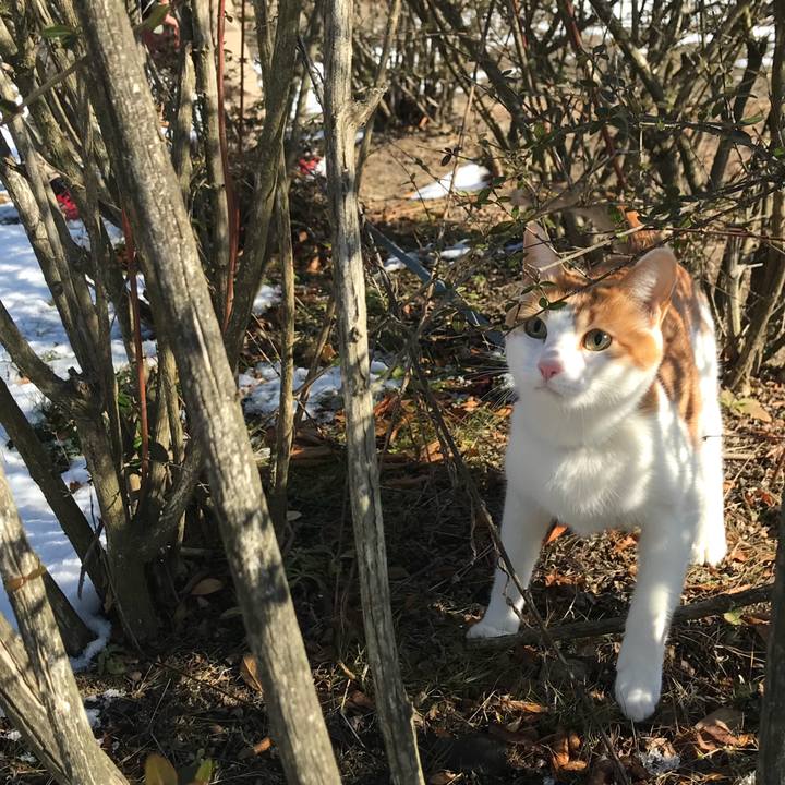 E56e2630 92f2 430d 8650 000fba7a6ae7 1515042123736