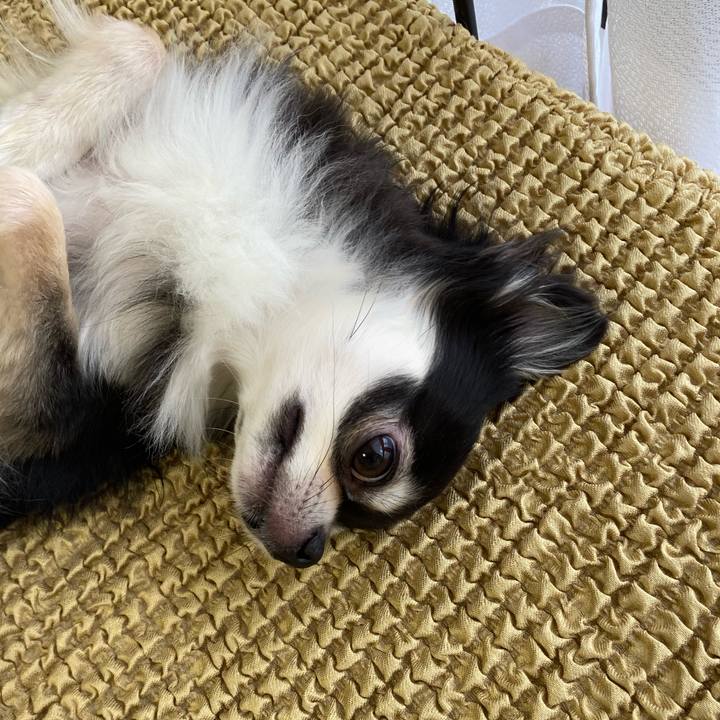 E56e82d7 1dac 4b38 b0a7 eebcbbd79c5c 1658669841547