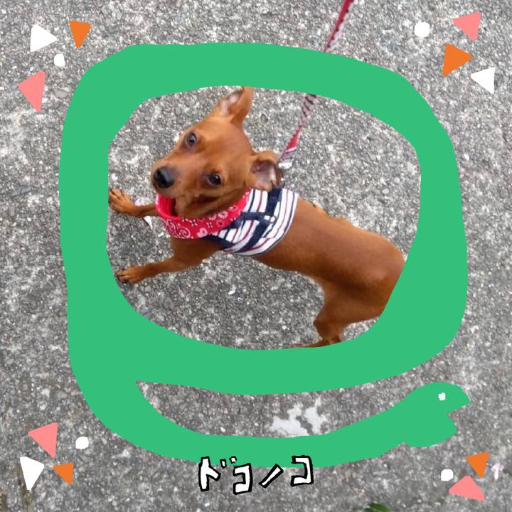 E56efd27 8b10 4e72 ab92 8e67f69b5da4 1741391333191