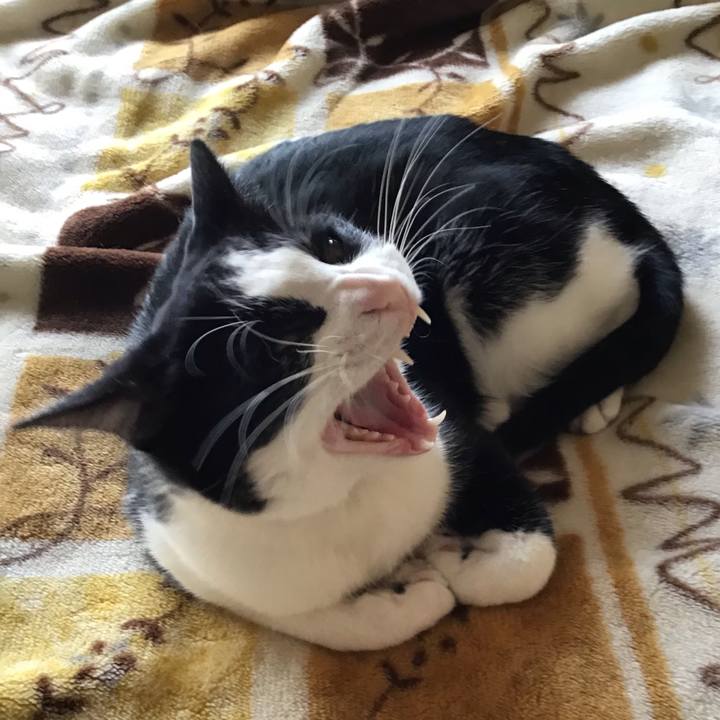 E56f0383 a0dd 436e b1d6 cfcc95e8ee92 1652604522972