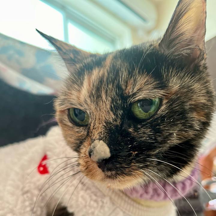 E56f26e8 ecbe 4673 8d80 0d1f9c62f44d 1701863144556