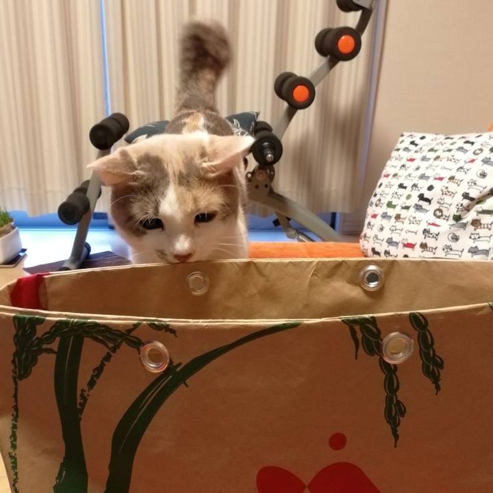 E56f28f3 fc50 4201 a91f ef03e943146d 1560852421246