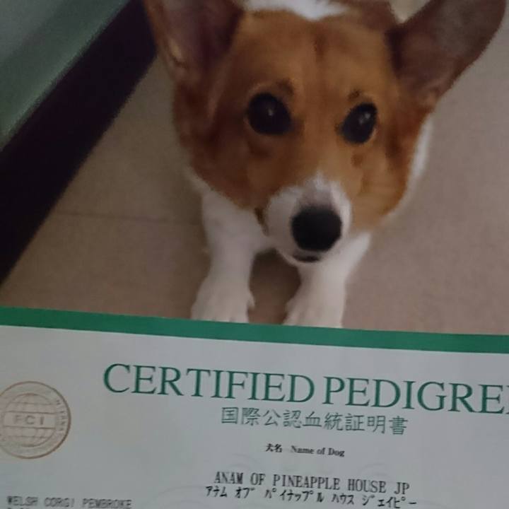 E56f688a ce33 4328 9c6a 72bdc5562ab6 1534813485332