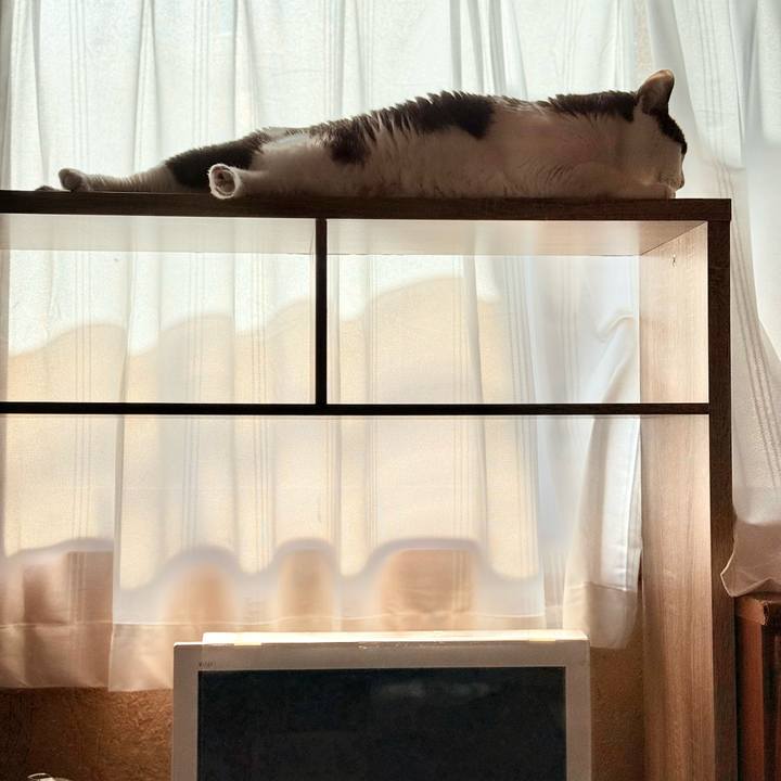 E56f68a9 ebb1 4fda 81a0 268f1f54ce8d 1735782540947