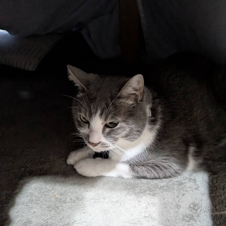 E56f7716 b869 48cd b582 bb5c587a5cf3 1767750841404