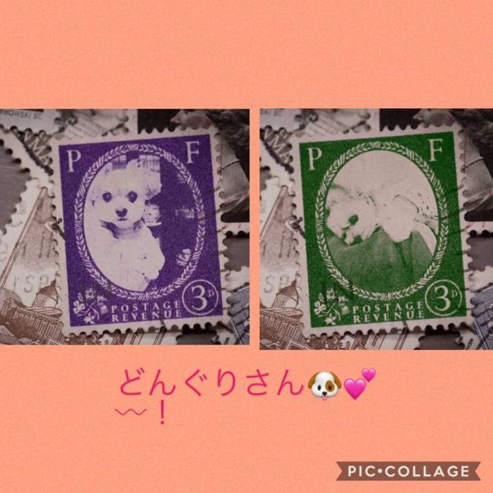 E56fa85e 7bf4 4e4e a3a3 3bef7fe1a166 1569882499916