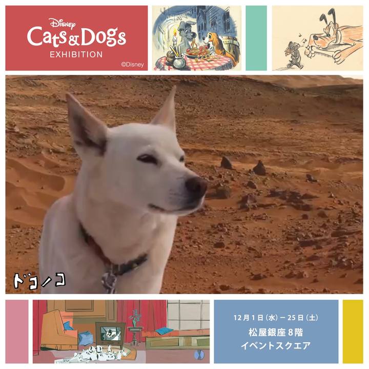 E56fb140 d5a8 44f9 97cb f7661b578d36 1638363981816