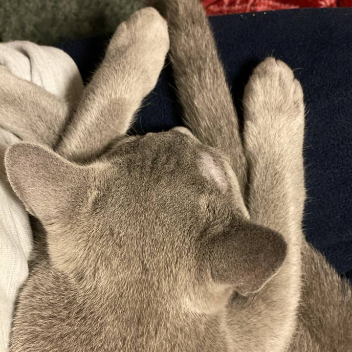 E56fcc07 c20b 4977 97b4 5451ef6ecf4b 1607610482191