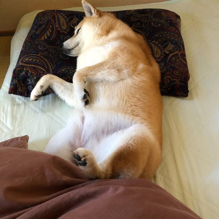 E56fe7ef 2d24 4d9e a0dd c41cb4d82f6c 1588654061681