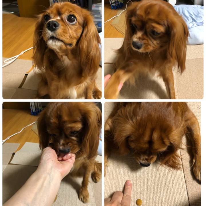 E56ff02b 843f 4e3f b7d0 66f583ad7f68 1536012376338