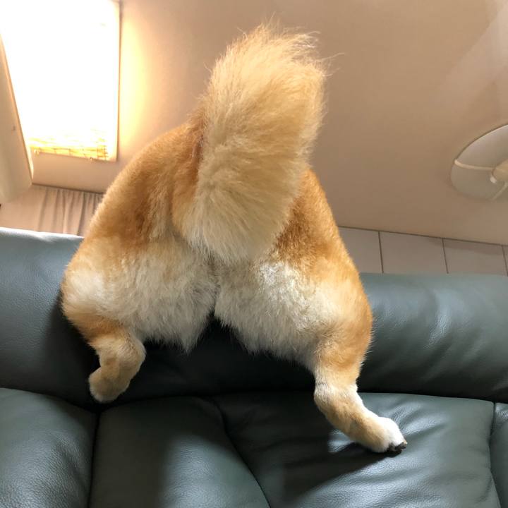 E5700846 9767 4e76 94d9 61cf83e2db31 1571065293183