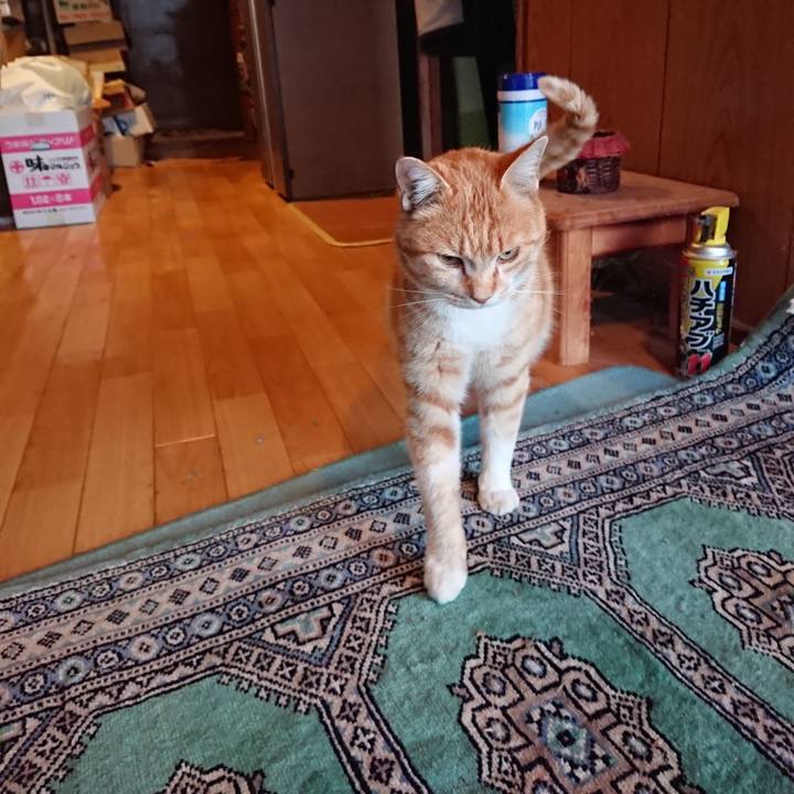 E5702d46 a81e 4dd8 ac69 a1b1595ba89d 1584003834360