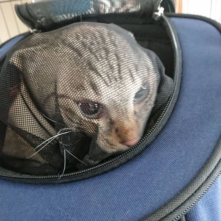 E570492a 8c53 45ad ac34 5253b7eea940 1597465798124