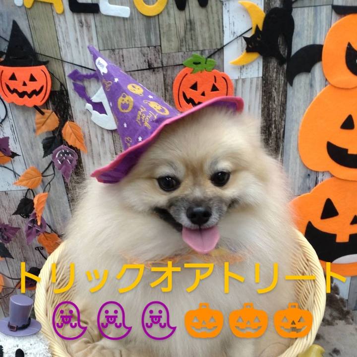 E570599d 665f 465f a182 9290902d9683 1667210060453