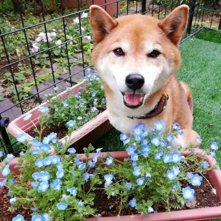 E5705fa9 535d 4f83 aa0b e22dfd3d021a 1681893663352