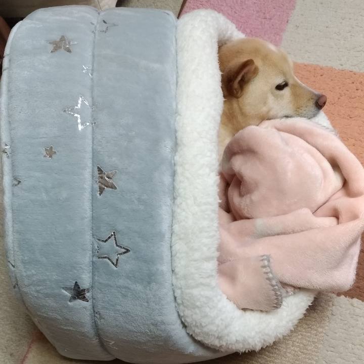 E5708679 e778 4c9e b8f6 387cea650001 1578446502561