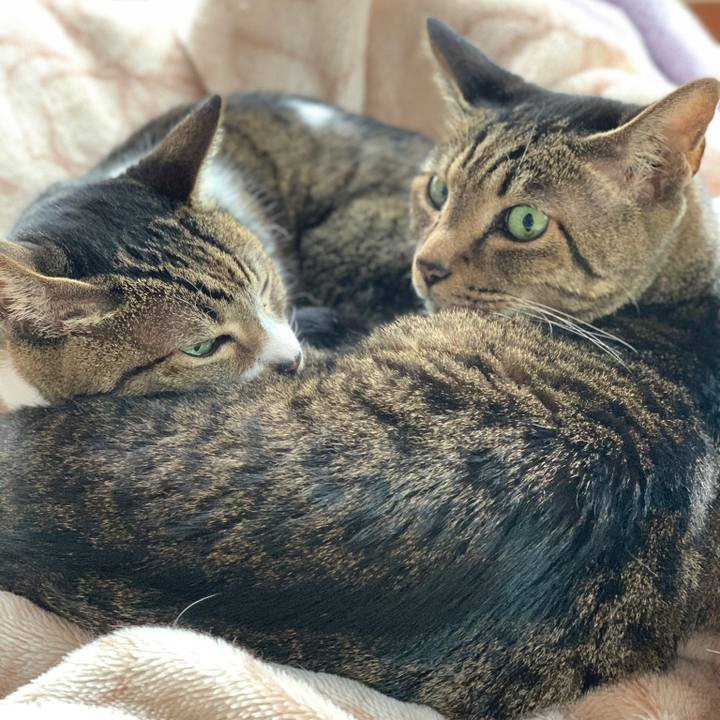 E570feee 0338 471b 96f4 1553101f6bcb 1579915503567