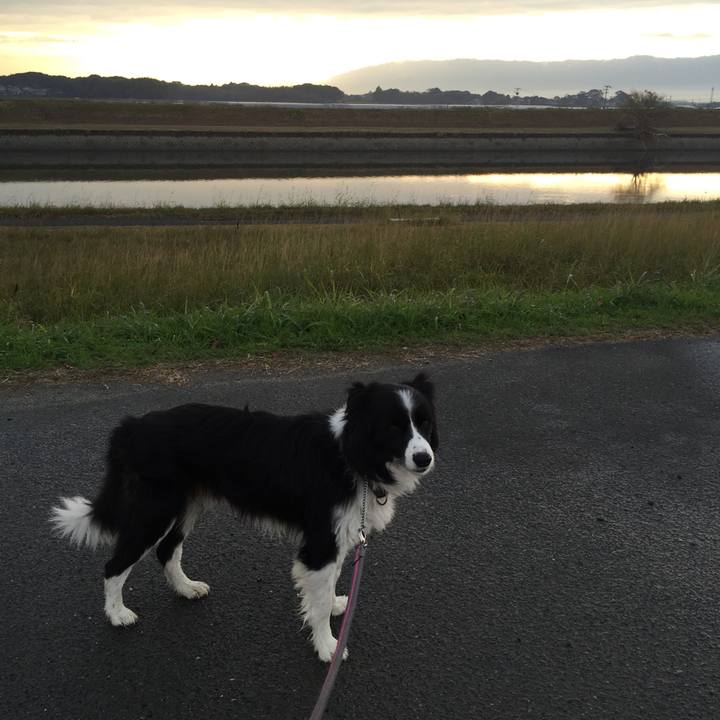 E571438b b431 4b49 8546 7f9a611255d4 1542840873735