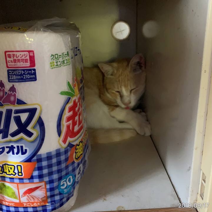 E5715d80 c33c 404d a205 80b030320508 1568692109431