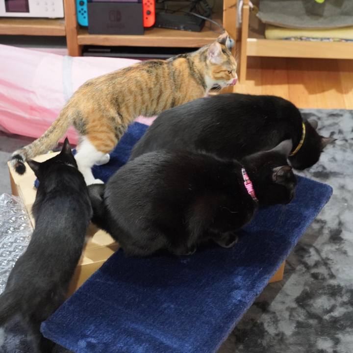 E5715ec4 3879 47c6 94c2 d9f34b2ddb40 1580560247001